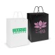 Paper Bags - Laminated Carry Bag - Large