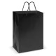 Laminated Carry Bag - Large