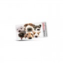 Toys, Games & Novelties - AD Labels 40 x 20mm