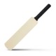 Novelties - Mini Cricket Bat