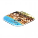 Coasters - Clarion Coaster