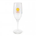 Printed Glasses - Champagne Flute