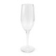 Printed Glasses - Champagne Flute
