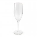 Printed Glasses - Champagne Flute