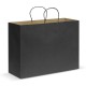 Paper Bags - Paper Carry Bag - Extra Large