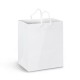 Paper Bags - Medium Laminated Paper Carry Bag - Full Colour