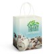 Paper Bags - Large Paper Carry Bag - Full Colour