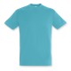 Men's Promotional T Shirts - SOLS Regent Adult T-Shirt