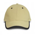 Caps - Springfield Cap