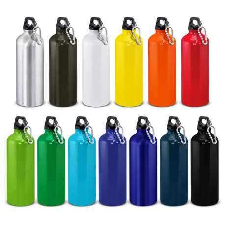 Drink Bottles - Metal - Intrepid Bottle - 800ml
