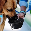 Homeware Products - Silicone Collapsible Pet Bowl