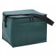 Cooler Bags - Arctic Cooler