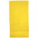 Beach Towels - Terry Velour Towel