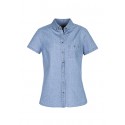 Ladies Corporate Shirts - Ladies Indie Short Sleeve Shirt