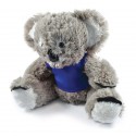 Teddy Bears - Korporate Koala