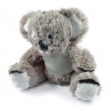 Teddy Bears - Korporate Koala