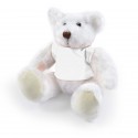Teddy Bears - Frosty Plush Teddy Bear