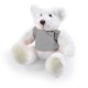 Teddy Bears - Frosty Plush Teddy Bear