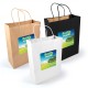 Express Paper Bag Large