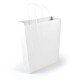 Paper Bags - Express Paper Bag Large