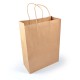 Paper Bags - Express Paper Bag Large