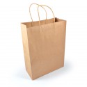 Paper Bags - Express Paper Bag Large