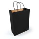 Express Paper Bag Large