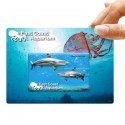 Flash Drives - Credit Card Flash Drive