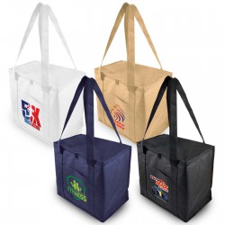 Tundra Cooler / Shopping Bag
