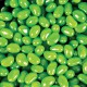 Promotional Jelly Beans - Corporate Colour Mini Jelly Beans