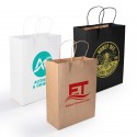 Paper Bags - Express Paper Bag Medium