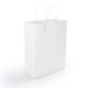 Paper Bags - Express Paper Bag Medium