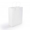 Paper Bags - Express Paper Bag Medium