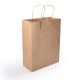 Express Paper Bag Medium