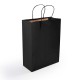 Paper Bags - Express Paper Bag Medium