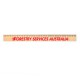 Rulers - Axis 30cm Wooden Ruler