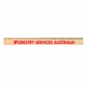 Rulers - Axis 30cm Wooden Ruler