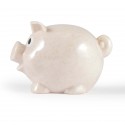 Money Boxes - Worlds Smallest Pig Eco Coin Bank
