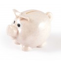 Money Boxes - Worlds Smallest Pig Eco Coin Bank