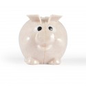 Money Boxes - Worlds Smallest Pig Eco Coin Bank