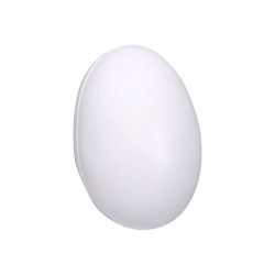 Stress Balls - Stress Egg - White