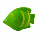 Stress Animals - Stress Tropical Fish