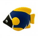 Stress Animals - Stress Tropical Fish