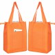 Non Woven Bags - Non Woven Cooler Bag with Top Zip Closure