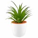 Enviro Office Items - Mini Desk Plant Pot