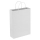 Paper Bags - Paper Trade Show Bag