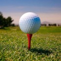 Corporate Golf Accessories - Golf Tee