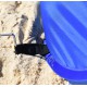 Outdoor Umbrellas - Brazil Pop-up Beach Shelter - Standard