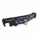 Lanyards - Amigo Dog Collar