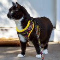 Lanyards - Amigo Pet Harness